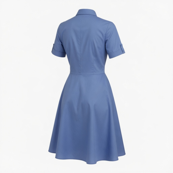 Blue Collared Dress