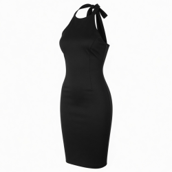 Black Halter Bodycon Party Dress