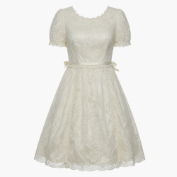 Lace Vintage Dress