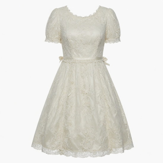 Lace Vintage Dress
