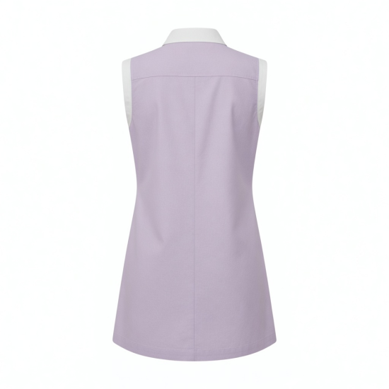 Collared Sleeveless Mini Dress