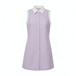 Collared Sleeveless Mini Dress
